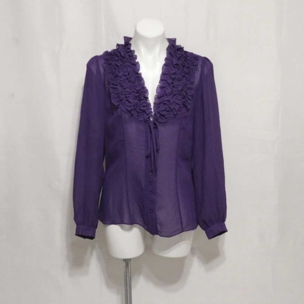DM New York Sheer Chiffon Ruffle Collar Button Up Long Sleeve Blouse M Romantic